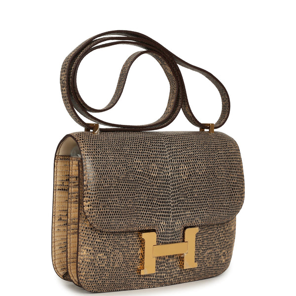 砂金 Hermes Constance 18 Ombre Shiny Varanus Salvator Lizard Gold Hardware