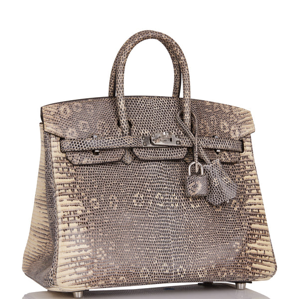 Hermes Birkin 25 Bag Ombre Lizard Palladium Hardware Holy Grail