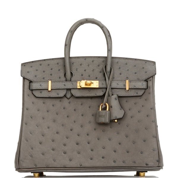 Hermes Birkin 25 Nata Ostrich Gold Hardware – Madison Avenue Couture