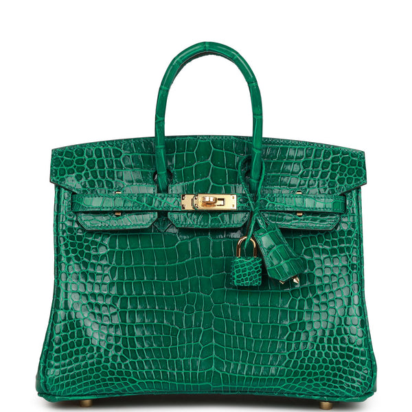 HERMÈS HSS Special Order Matte Alligator Birkin 25 handbag in Aubergine and  Pear