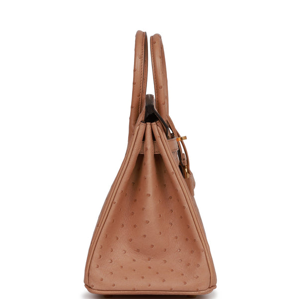 Hermès Ostrich Birkin 25 - Neutrals Handle Bags, Handbags - HER555464