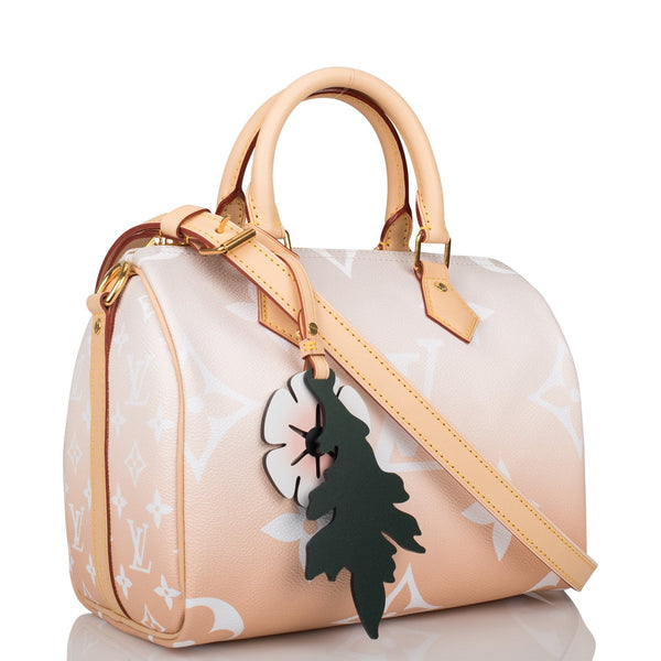 Louis Vuitton Limited Edition Summer by the Pool Speedy Bandoulière 25 in  Brume Giant Monogram - SOLD
