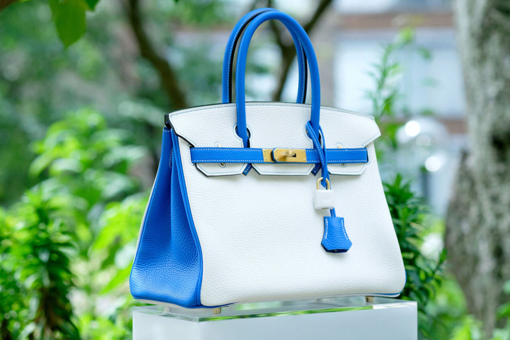 SO and HSS Bags from Hermès – The Most Coveted Hermès Bags (Well, Except For The Diamond Crocs!)