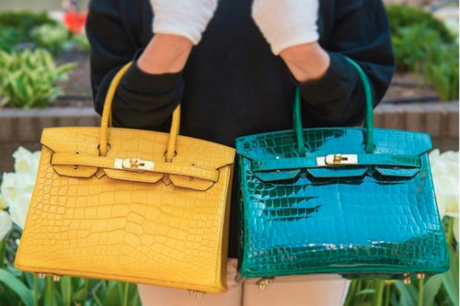 A Guide to Buying Your First Exotic Hermes Bag