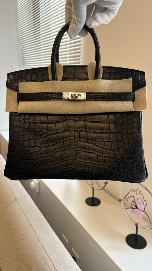 Hermes Birkin 25cm Matte Alligator PHW