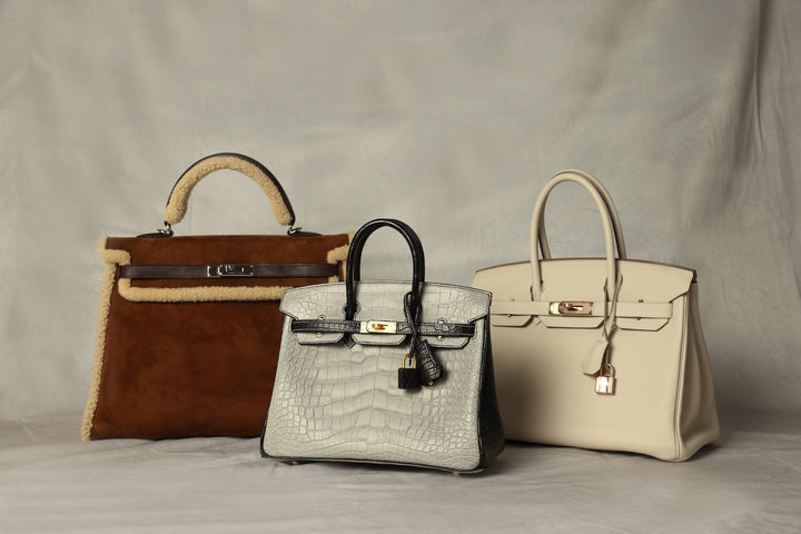 Autumn Collector's Auction