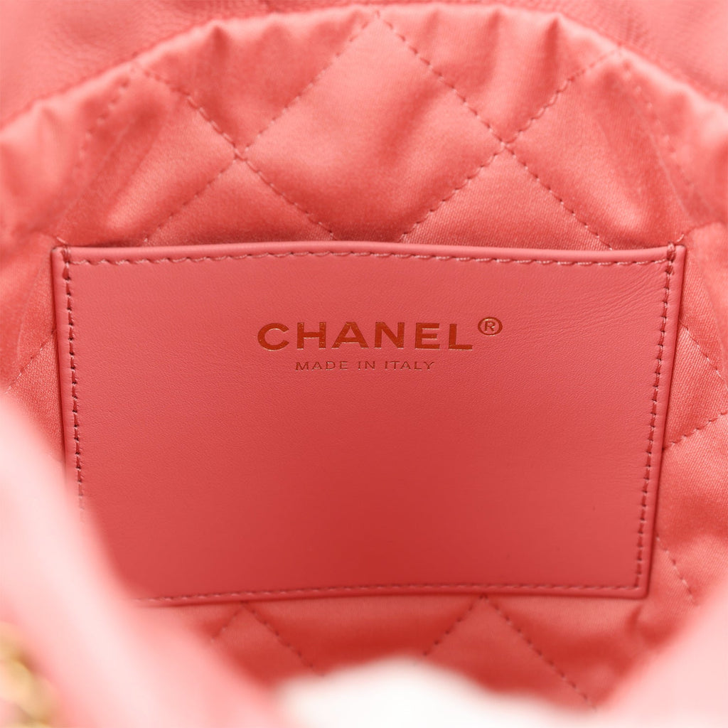 Chanel Gabrielle 20 Hobo Bag Pink Lambskin Mixed Metal Hardware
