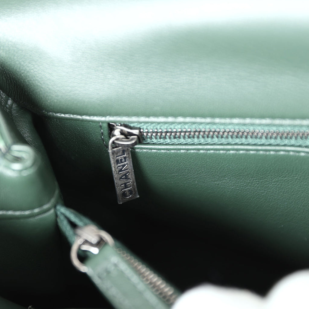 Pre-owned Chanel Medium Coco Handle Flap Bag Dark Green Python Ruthenium Hardware