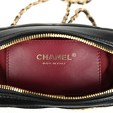 Chanel Mini Camera Case Bag Black Shiny Lambskin Gold Hardware
