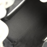 Chanel Small 25 Hobo Bag Metallic Silver Caviar Silver Hardware