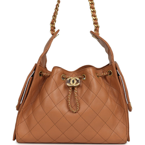 Chanel Small 25 Hobo Bag Brown Caviar Antique Gold Hardware