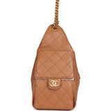 Chanel Small 25 Hobo Bag Brown Caviar Antique Gold Hardware