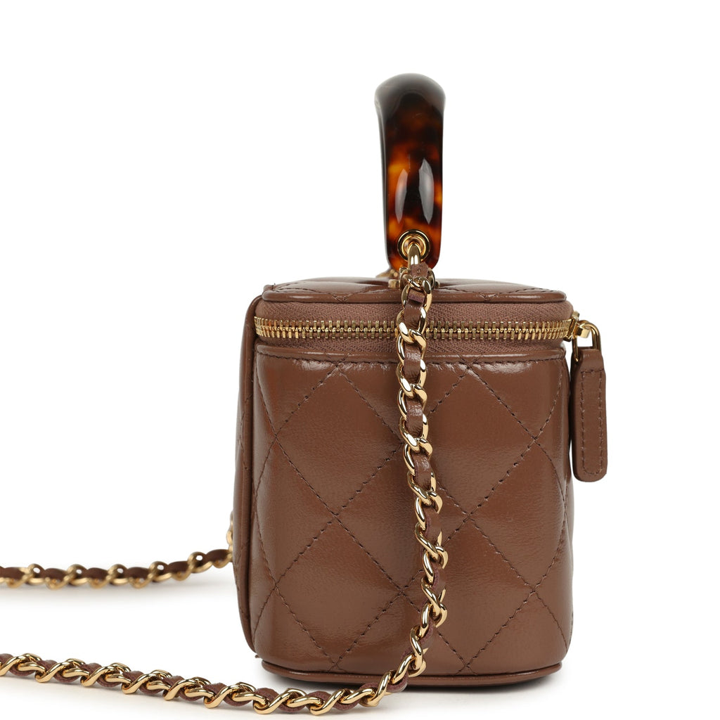 Chanel Small Tortoiseshell Top Handle Vanity Case Brown Shiny Lambskin