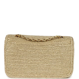 Chanel Small Coco Beach Small Flap Bag Light Gold Braided Raffia Gold Hardware - Thumbnail View 4