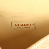 Chanel Small Coco Beach Small Flap Bag Light Gold Braided Raffia Gold Hardware - Thumbnail View 9
