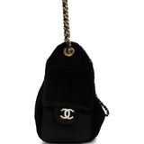 Chanel Mini 25 Hobo Bag Black Pony Hair Gold Hardware - Thumbnail View 3