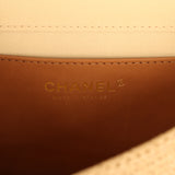 Chanel Medium "Fluffy Raffia" Flap Bag Beige Raffia Gold Hardware - Thumbnail View 9
