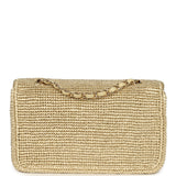 Chanel Small Coco Beach Flap Bag Light Gold Braided Raffia Gold Hardware - Thumbnail View 4