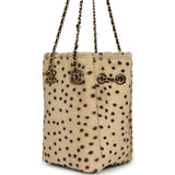 Chanel Mini "Cheetah Print" Bucket Bag with Chain Light Beige Calf Hair and Black Lambskin Gold Hardware - Thumbnail View 5