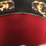 Chanel Mini "Cheetah Print" Bucket Bag with Chain Light Beige Calf Hair and Black Lambskin Gold Hardware - Thumbnail View 9