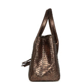 Vintage Chanel Medium Cerf Executive Tote Bag Iridescent Bronze Python Ruthenium Hardware - Thumbnail View 7