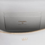 Chanel Top Handle Long Vanity Case with Chain Silver Metallic Lizard Embossed Calfskin Light Gold Hardware - Thumbnail View 9
