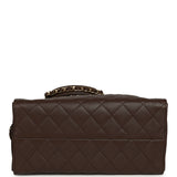 Chanel Medium 25 Hobo Bag Dark Brown Caviar Gold Hardware - Thumbnail View 7