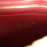 Chanel "Cheetah Print" Medium Flap Bag Light Beige Calf Hair and Black Lambskin Gold Hardware - Thumbnail View 9