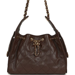 Chanel Small 25 Hobo Bag Dark Brown Caviar Gold Hardware