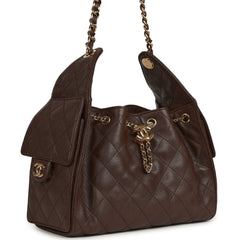 Chanel Small 25 Hobo Bag Dark Brown Caviar Gold Hardware