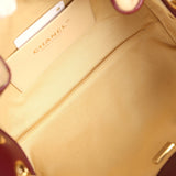 Chanel Mini 25 Hobo Bag "Cheetah Print" Calf Hair Gold Hardware - Thumbnail View 8