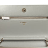 Chanel Wallet On Chain WOC Silver Metallic Lizard Embossed Calfskin Light Gold Hardware - Thumbnail View 8
