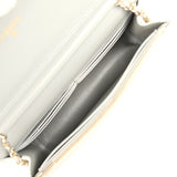 Chanel Wallet On Chain WOC Silver Metallic Lizard Embossed Calfskin Light Gold Hardware - Thumbnail View 9