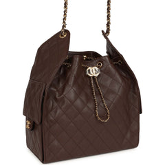 Chanel Medium 25 Hobo Bag Dark Brown Caviar Gold Hardware