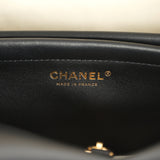 Chanel Small Leopard Print "Urban Essential" East West Shopping Tote Black Calfskin, Brown, Black, White Tweed, Mixed Fibers Gold Hardware - Thumbnail View 9