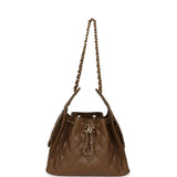 Chanel Small 25 Hobo Bag Brown Shiny Caviar Gold Hardware - Thumbnail View 6
