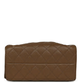 Chanel Small 25 Hobo Bag Brown Shiny Caviar Gold Hardware - Thumbnail View 7