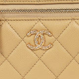 Chanel Top Handle Long Vanity Case with Chain Beige Shiny Caviar Gold Hardware - Thumbnail View 8