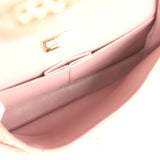 Pre-owned Chanel Medium Classic Double Flap Bag Iridescent Pink Python Light Gold Hardware - Thumbnail View 10