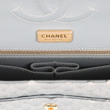 Pre-owned Chanel Medium Classic Double Flap Bag Grey Python Antique Gold Hardware - Thumbnail View 8