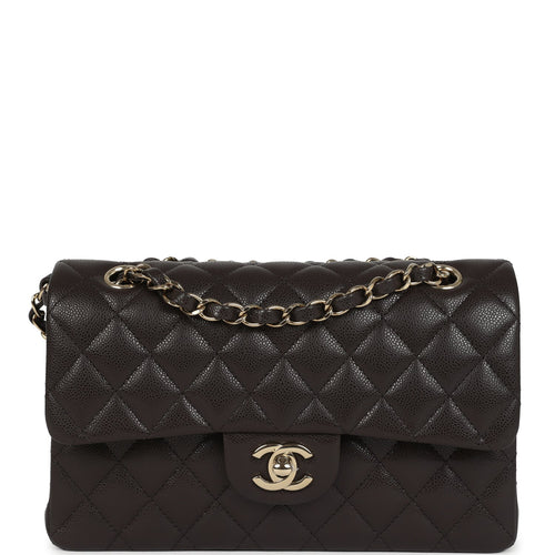 Chanel Small Classic Double Flap Bag Brown Shiny Caviar Light Gold Hardware