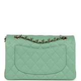 Chanel Small Classic Double Flap Bag Green Caviar Light Gold Hardware
