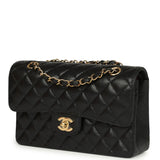 Chanel Small Classic Double Flap Bag Black Caviar Gold Hardware