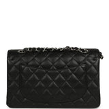 Chanel Small Classic Double Flap Black Caviar Silver Hardware