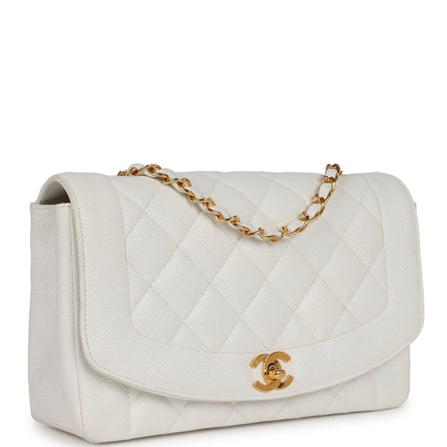 Chanel Diana Bags – Madison Avenue Couture