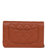 Chanel Wallet on Chain WOC Brown Caviar Gold Hardware