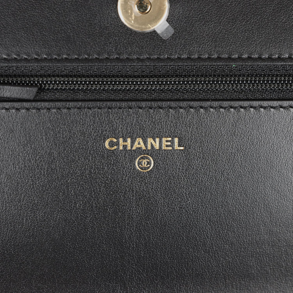 Chanel Multicolor Pocket Wallet On Chain (WOC) Q6A4N91IMB000