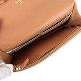 Chanel 19 Wallet On Chain WOC Brown Shiny Lambskin Mixed Metal Hardware