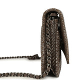 Chanel Wallet On Chain WOC Silver and Brown Aged Python Antique Silver Hardware - Thumbnail View 3