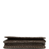 Chanel Wallet On Chain WOC Silver and Brown Aged Python Antique Silver Hardware - Thumbnail View 6